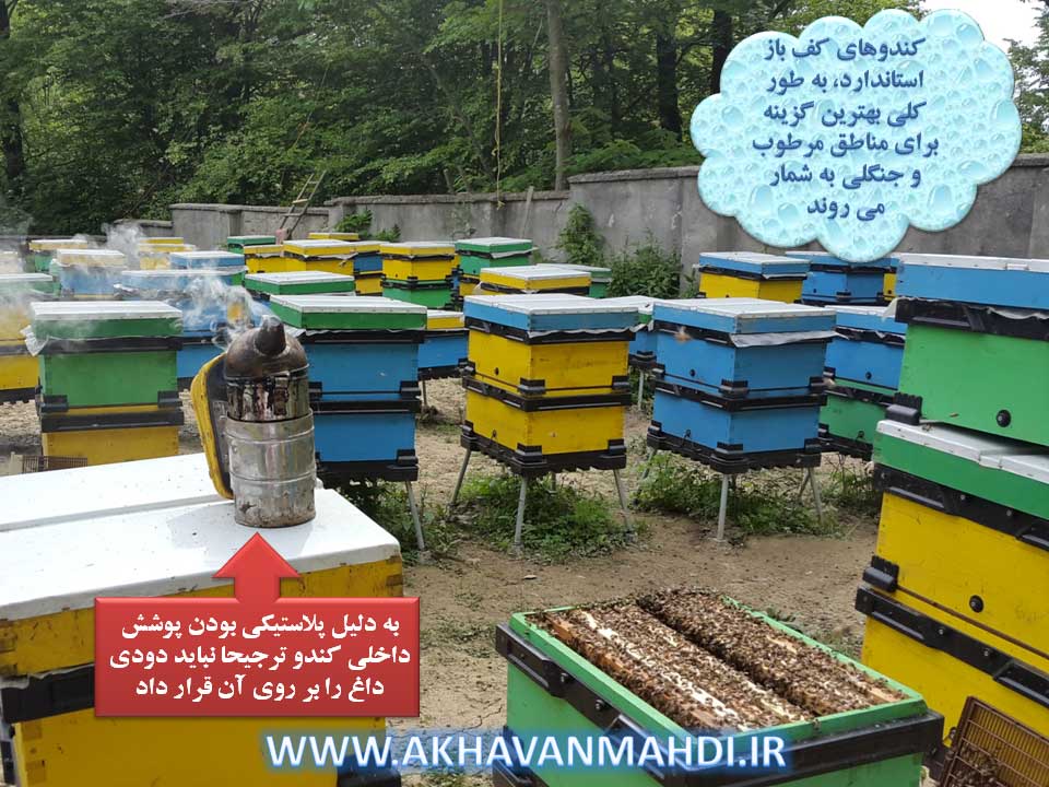 کندوی کف باز بهترین گزینه برای زنبورداری در مناطق مرطوب ایران مانند شمال کشور